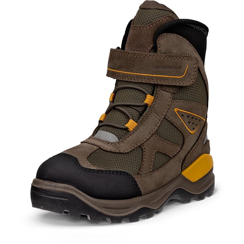 ecco snow mountain