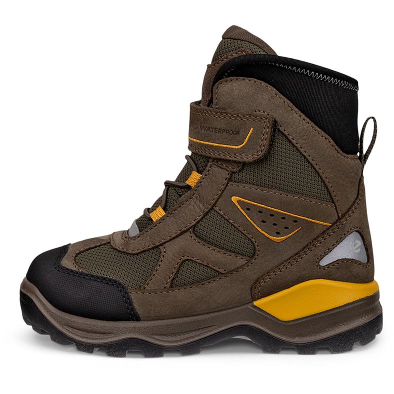 ecco snow mountain