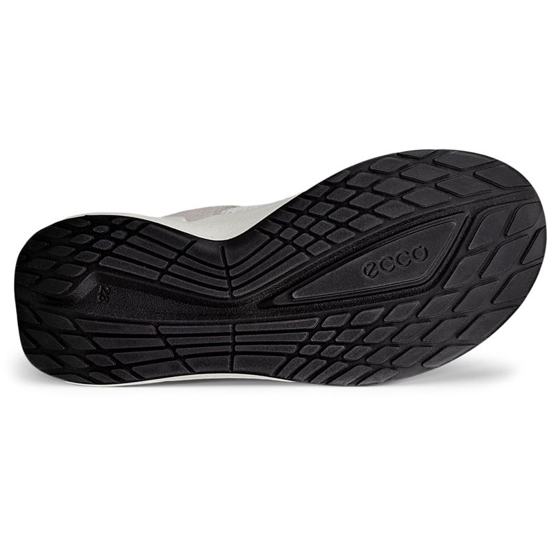 ecco biom 2.2 k