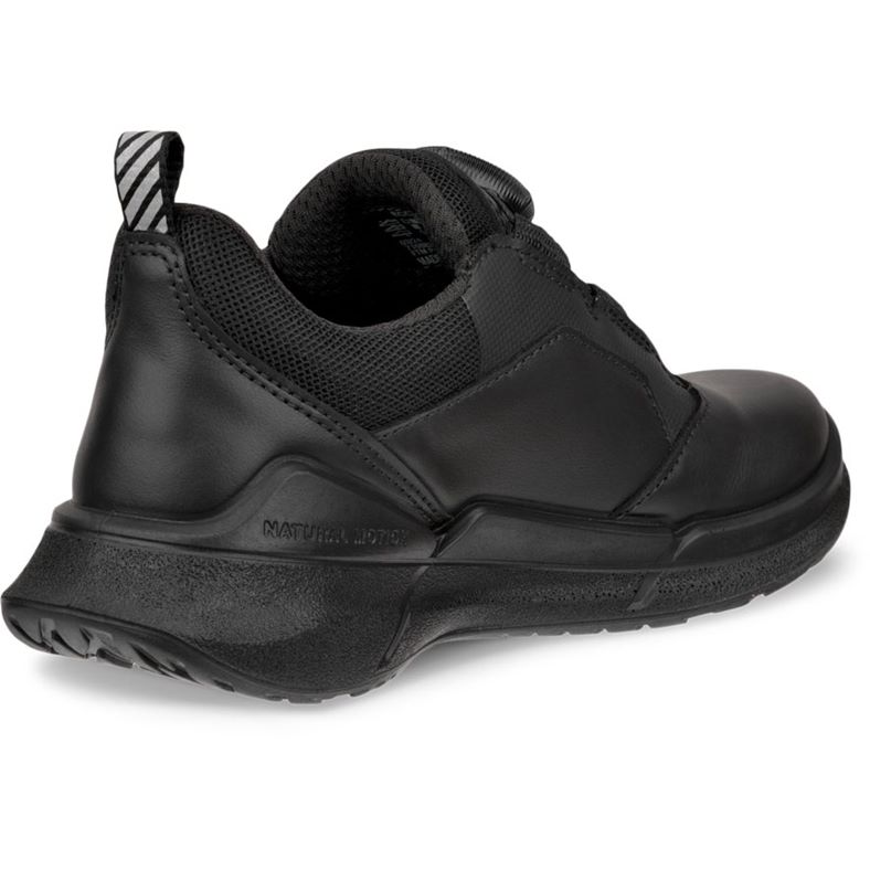 ecco biom 2.2 k