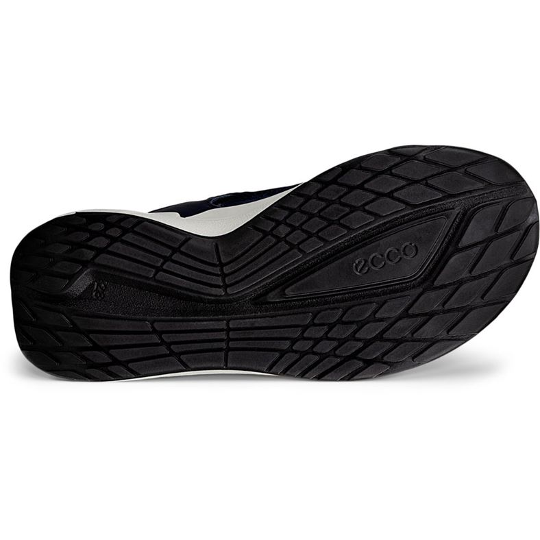 ecco biom 2.2 k