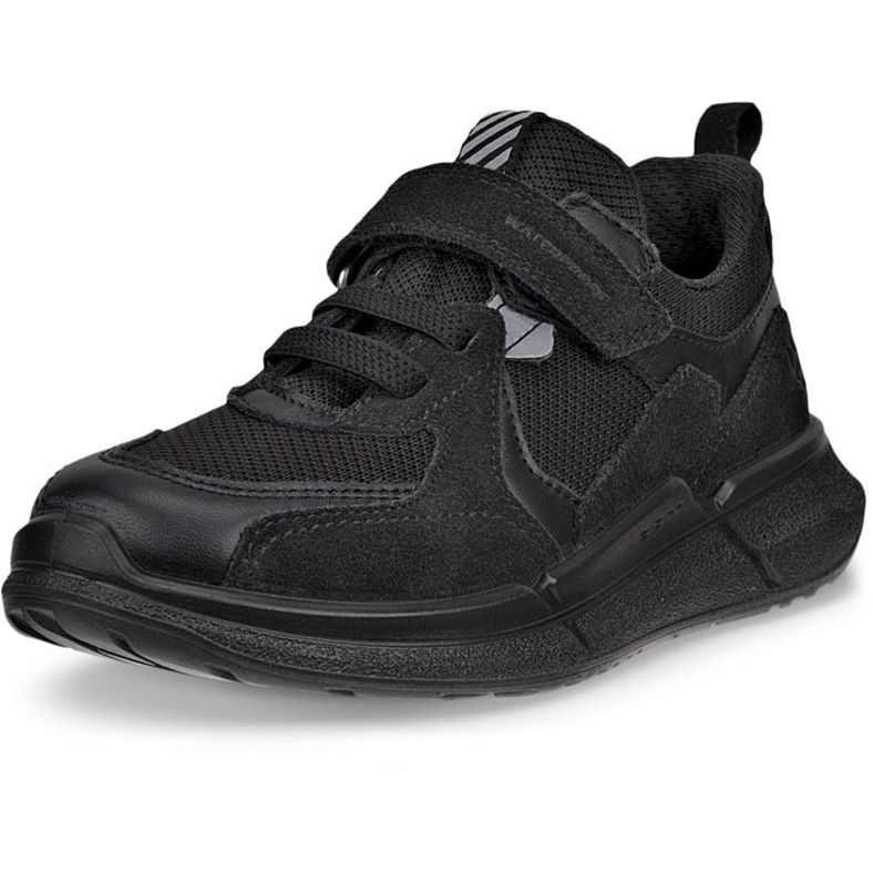 ecco biom 2.2 k