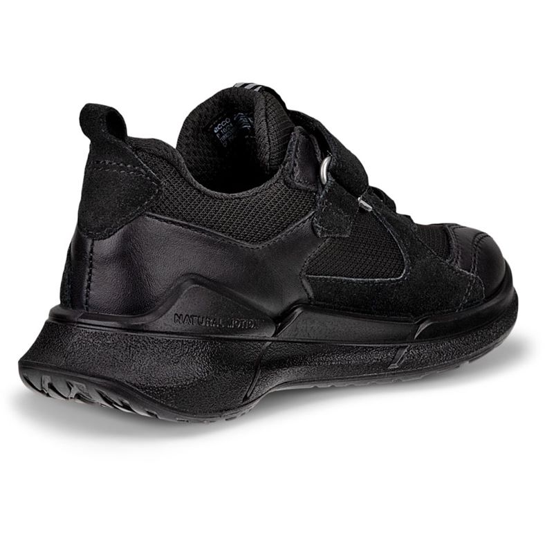 ecco biom 2.2 k