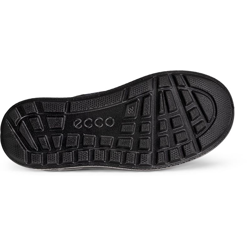 ecco urban snowboarder
