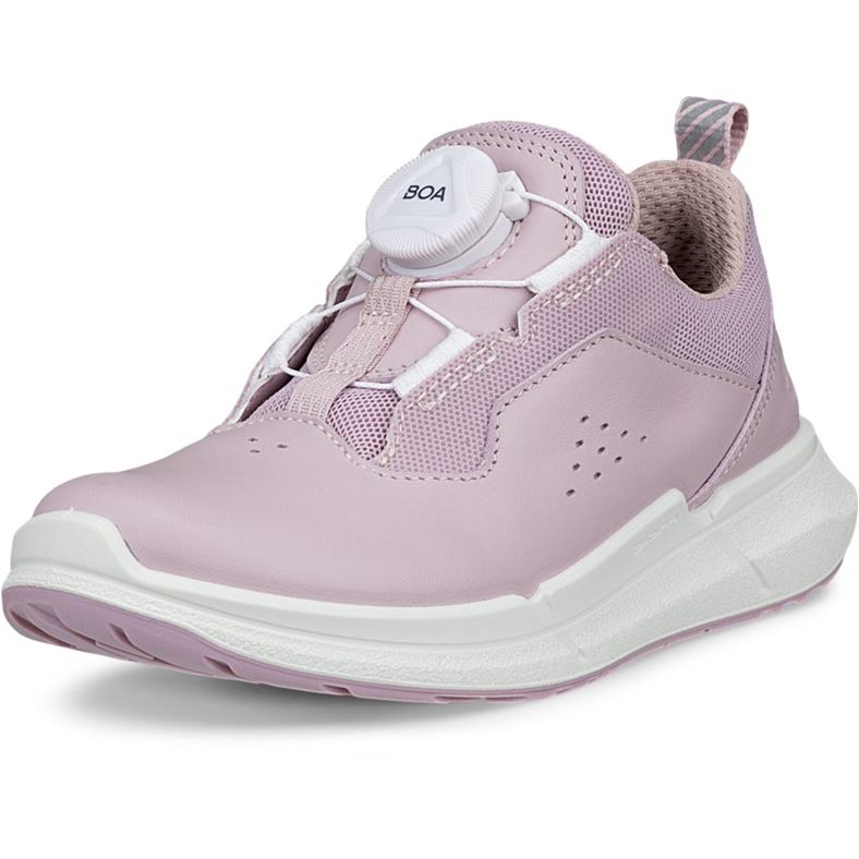 ecco biom 2.2 k