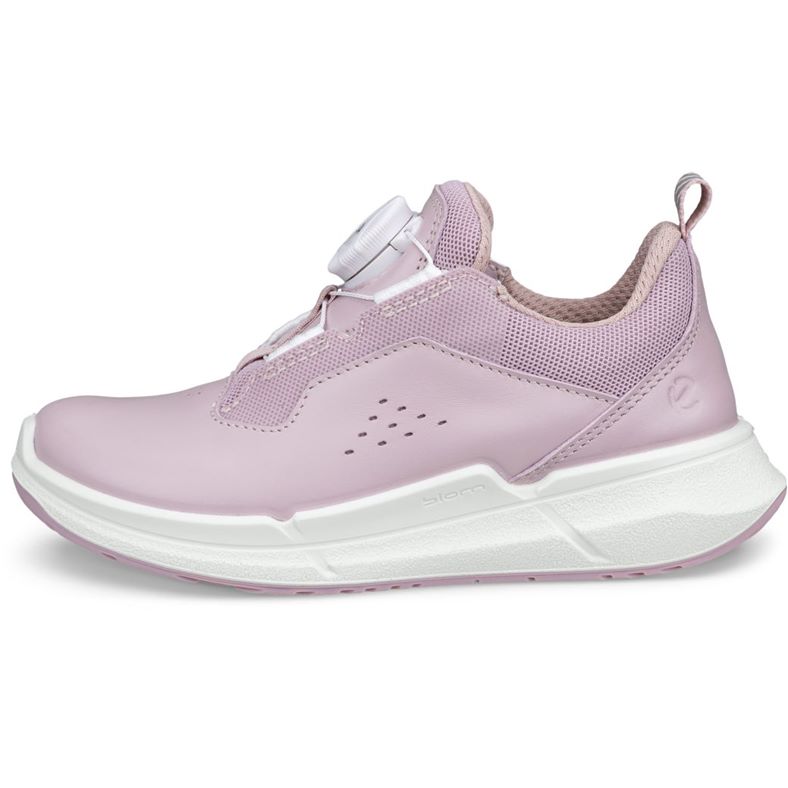 ecco biom 2.2 k