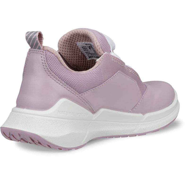 ecco biom 2.2 k