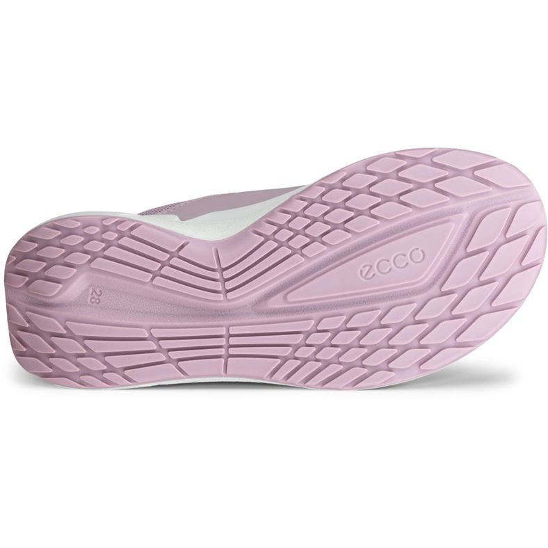 ecco biom 2.2 k