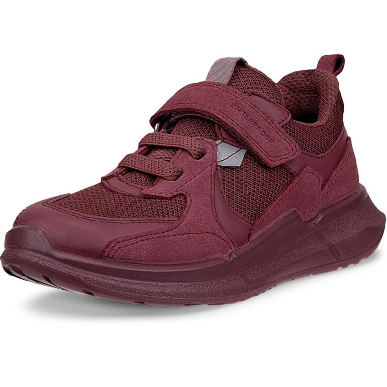 ecco biom 2.2 k