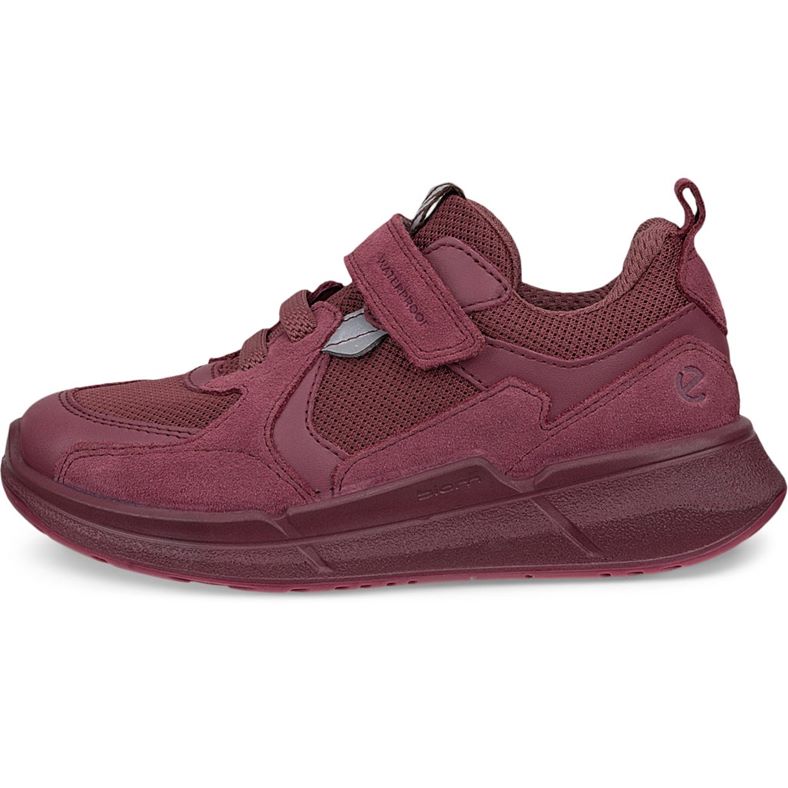 ecco biom 2.2 k