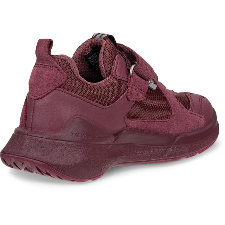 ecco biom 2.2 k