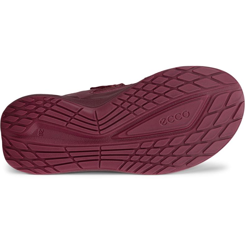 ecco biom 2.2 k