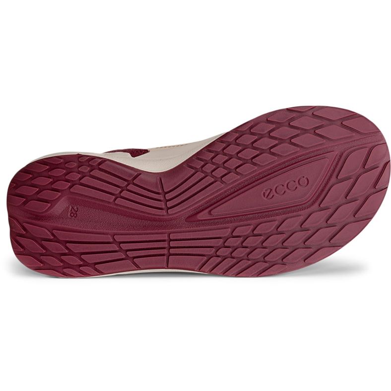ecco biom 2.2 k