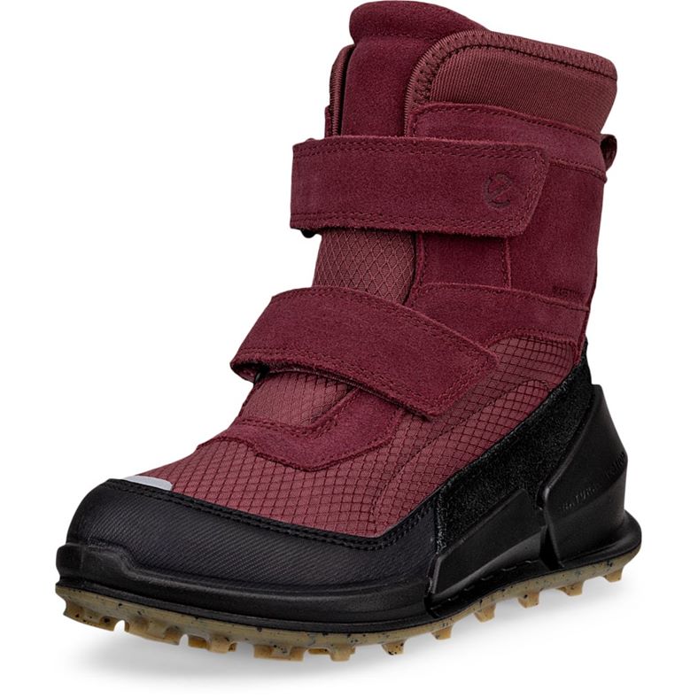 ecco biom k2