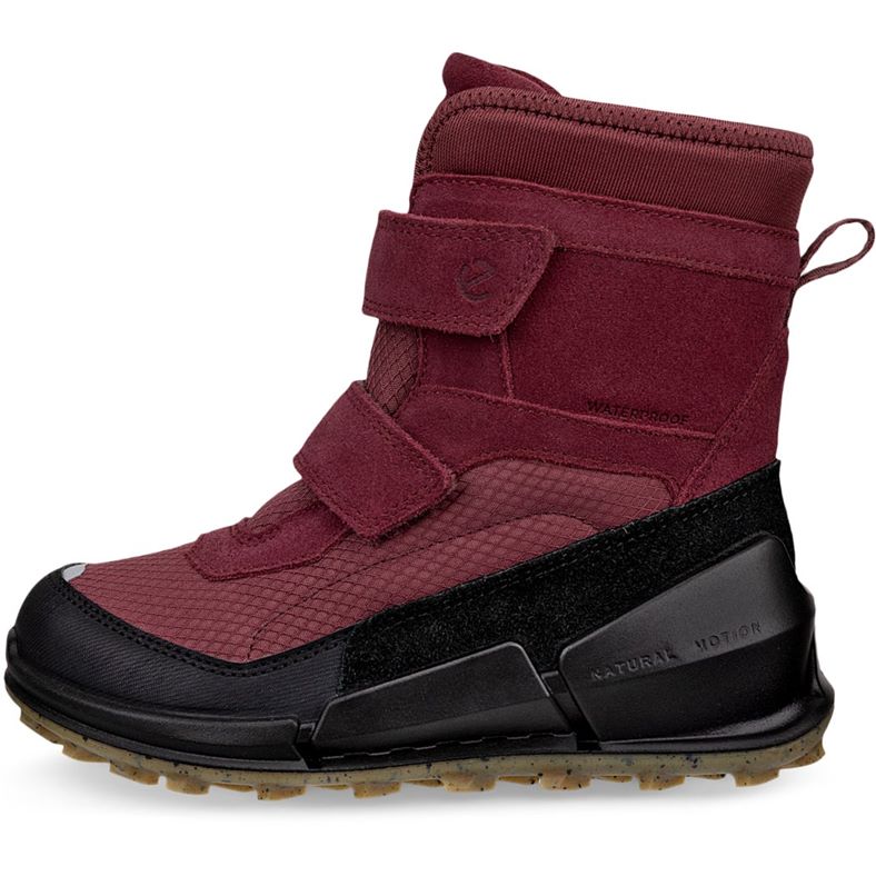 ecco biom k2