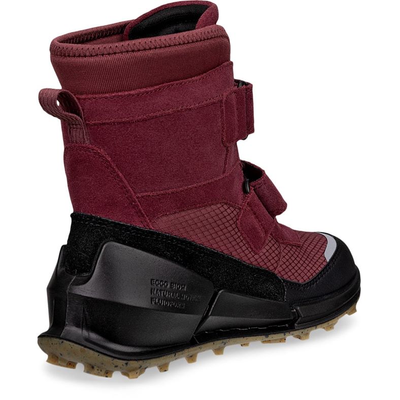 ecco biom k2