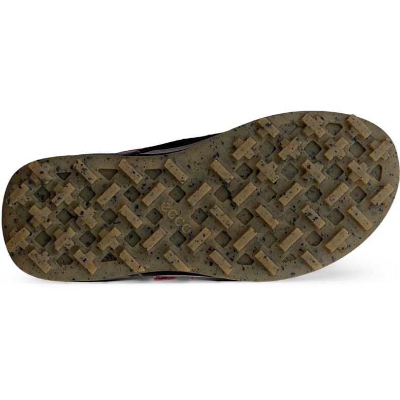 ecco biom k2