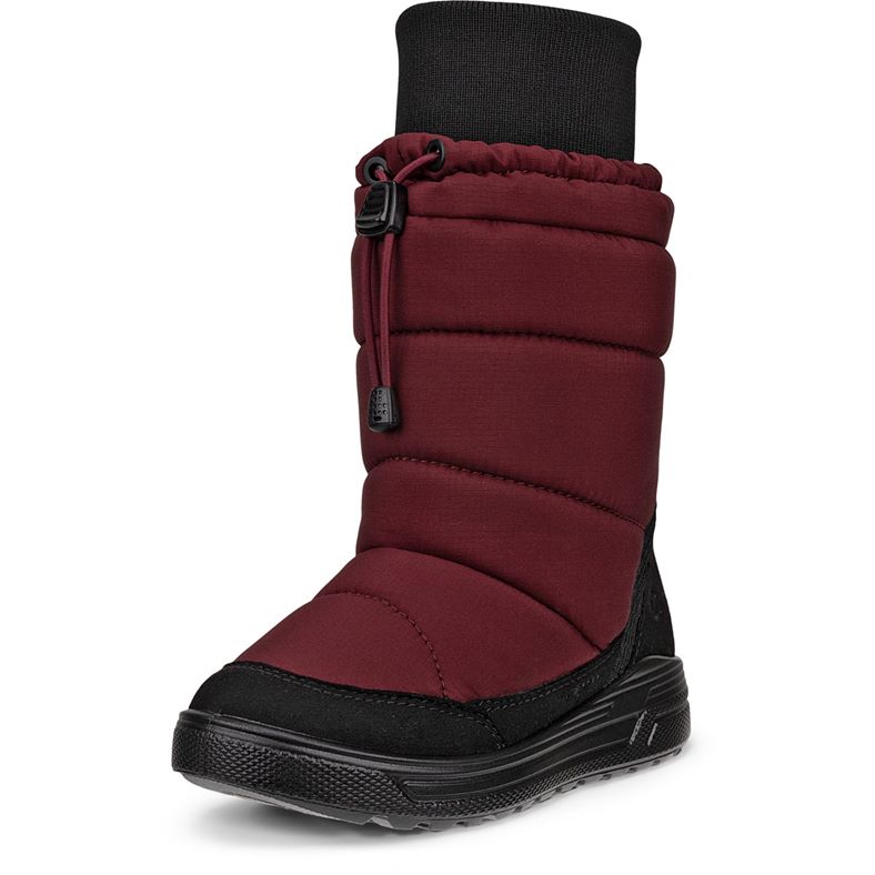 ecco urban snowboarder