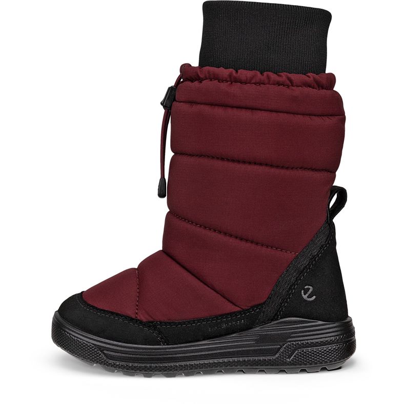 ecco urban snowboarder