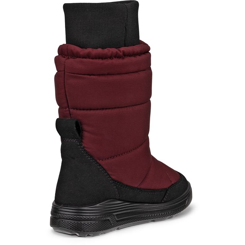 ecco urban snowboarder