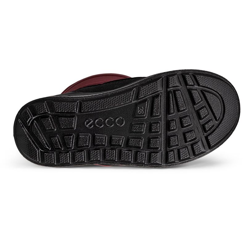 ecco urban snowboarder