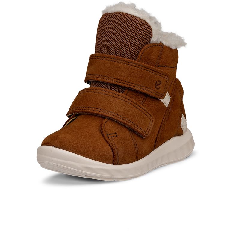 ecco sp.1 lite infant