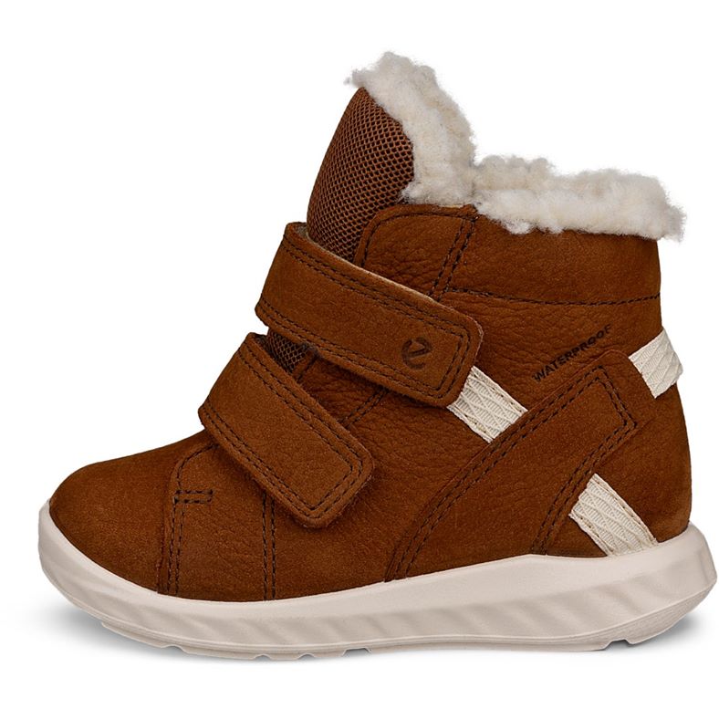 ecco sp.1 lite infant