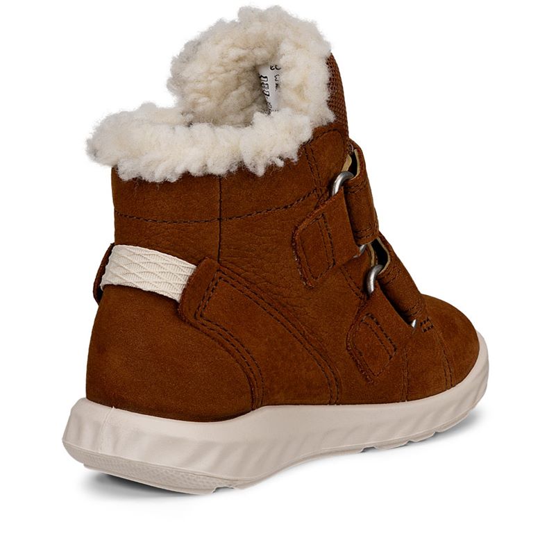 ecco sp.1 lite infant