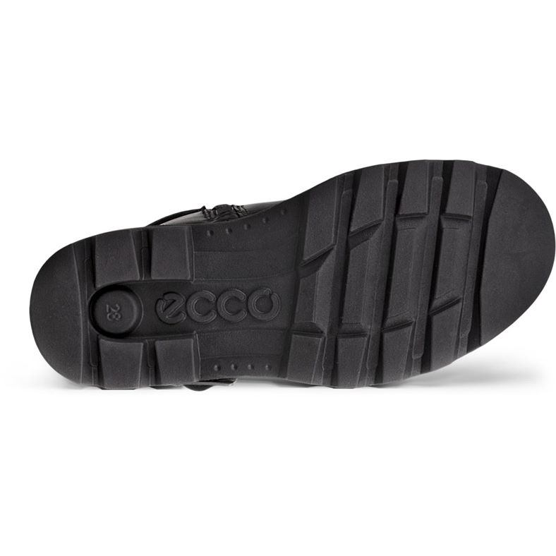 ecco grainer k