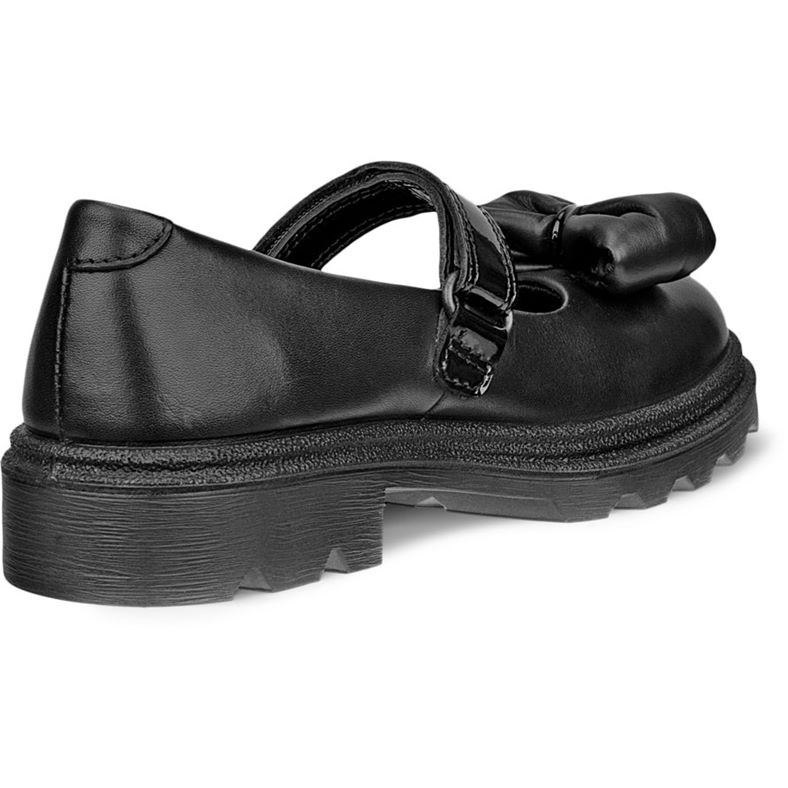 ecco grainer k