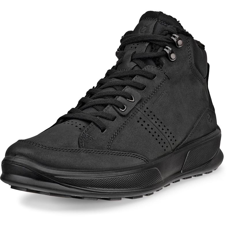 ecco byway 2.0