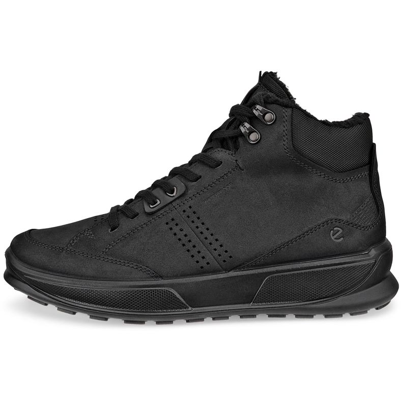 ecco byway 2.0