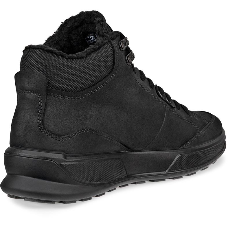 ecco byway 2.0