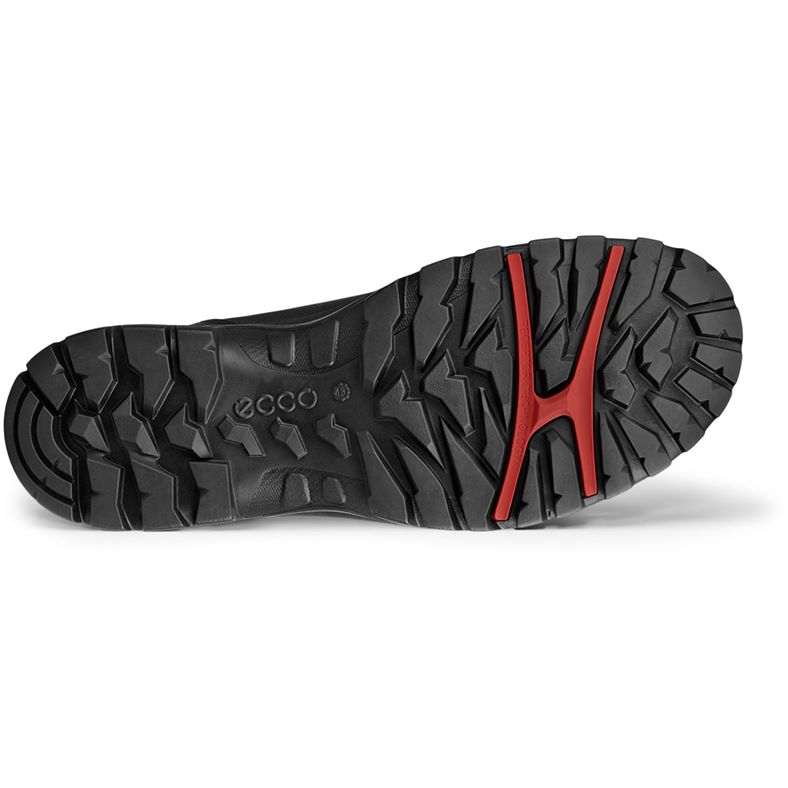 ecco xpedition iii m
