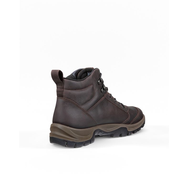ecco xpedition iii m