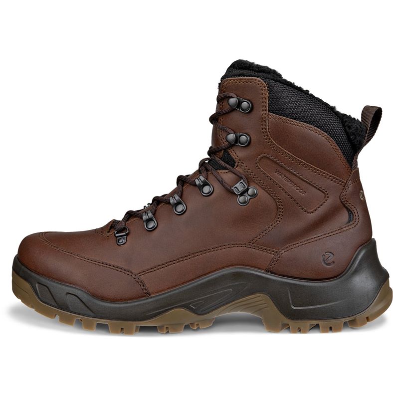 ecco offroad m