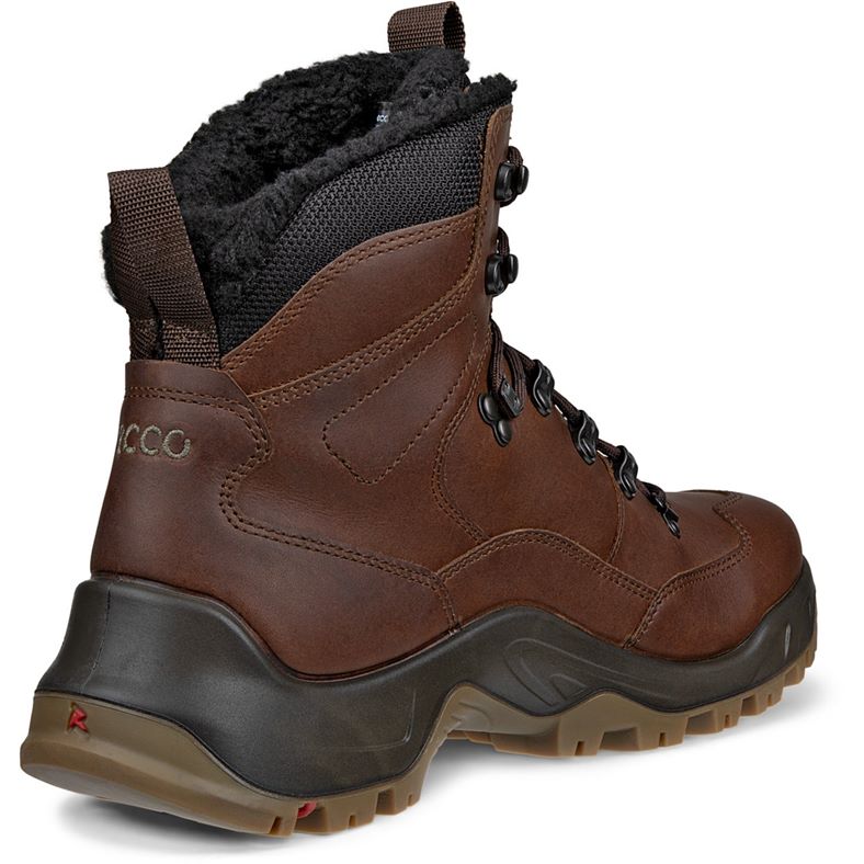 ecco offroad m
