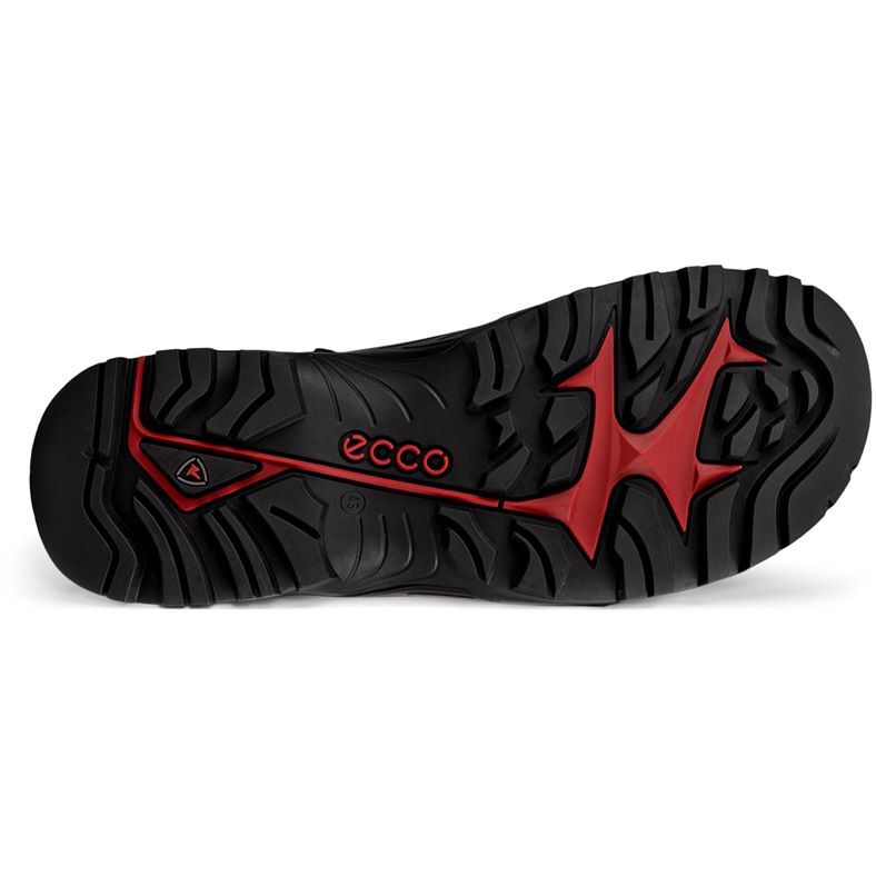 ecco offroad m