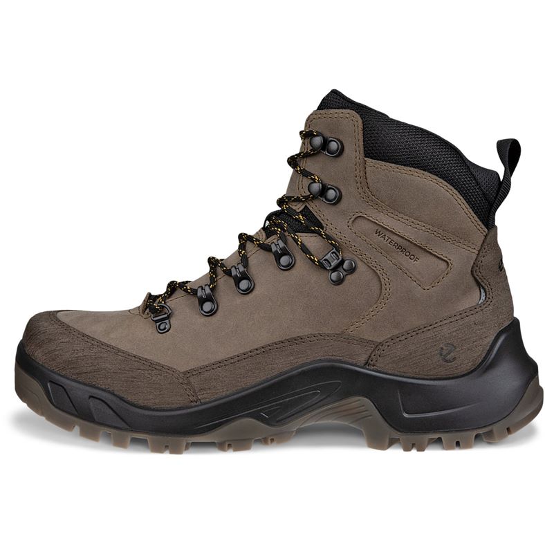 ecco offroad m