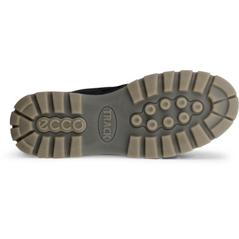 ecco track 25 m