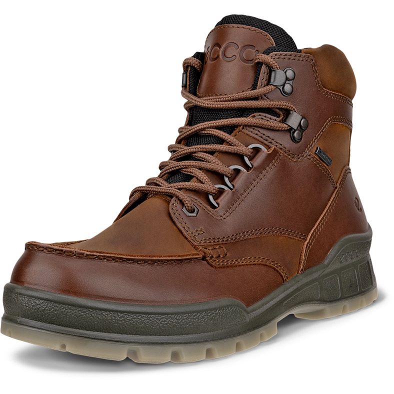 ecco track 25 m