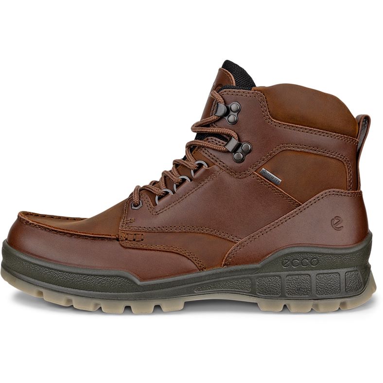 ecco track 25 m