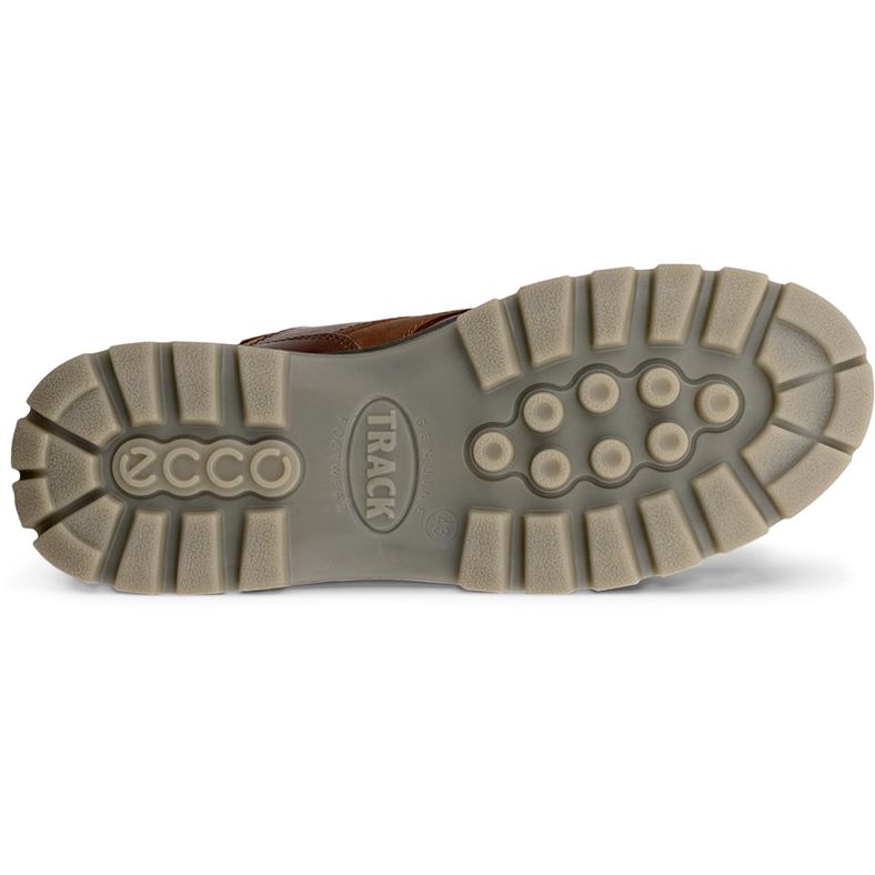 ecco track 25 m