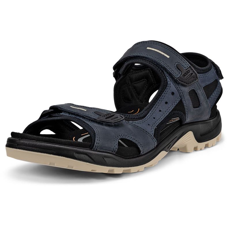 ecco offroad