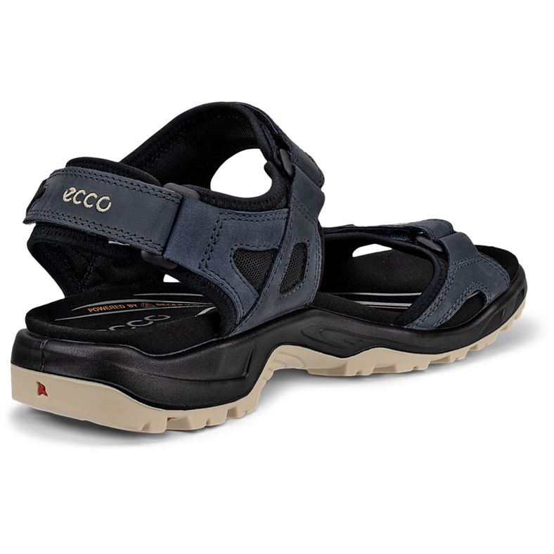 ecco offroad