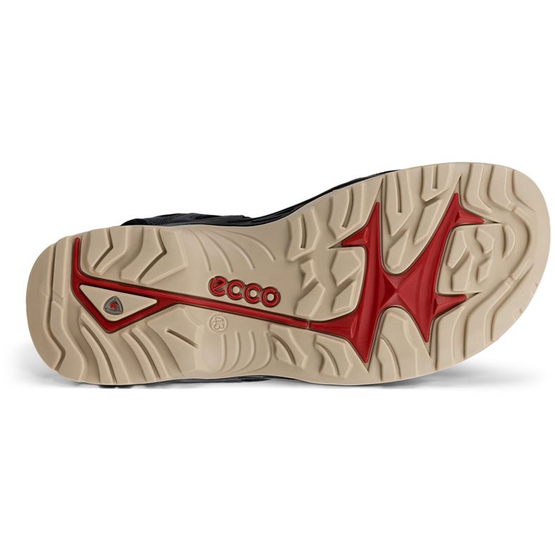 ecco offroad