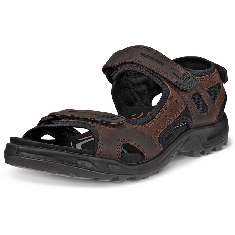 ecco offroad