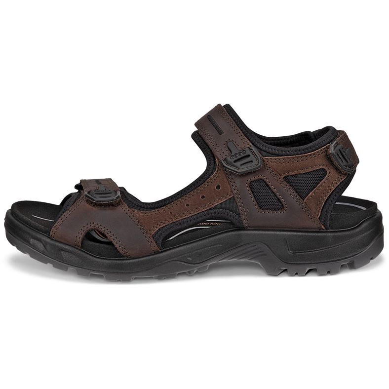 ecco offroad