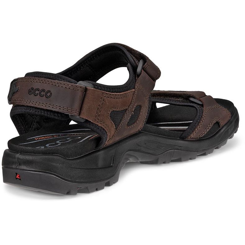 ecco offroad