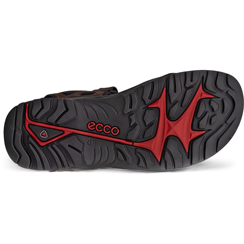ecco offroad